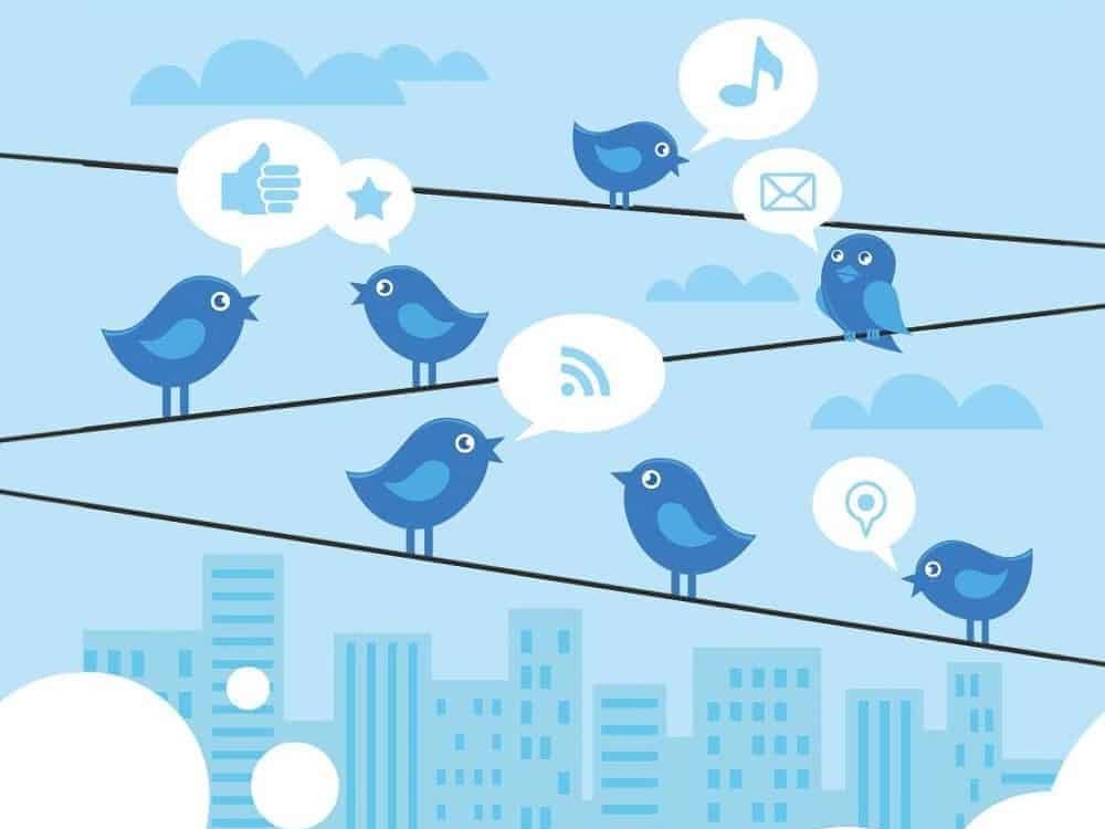Twitter Birds Illustration